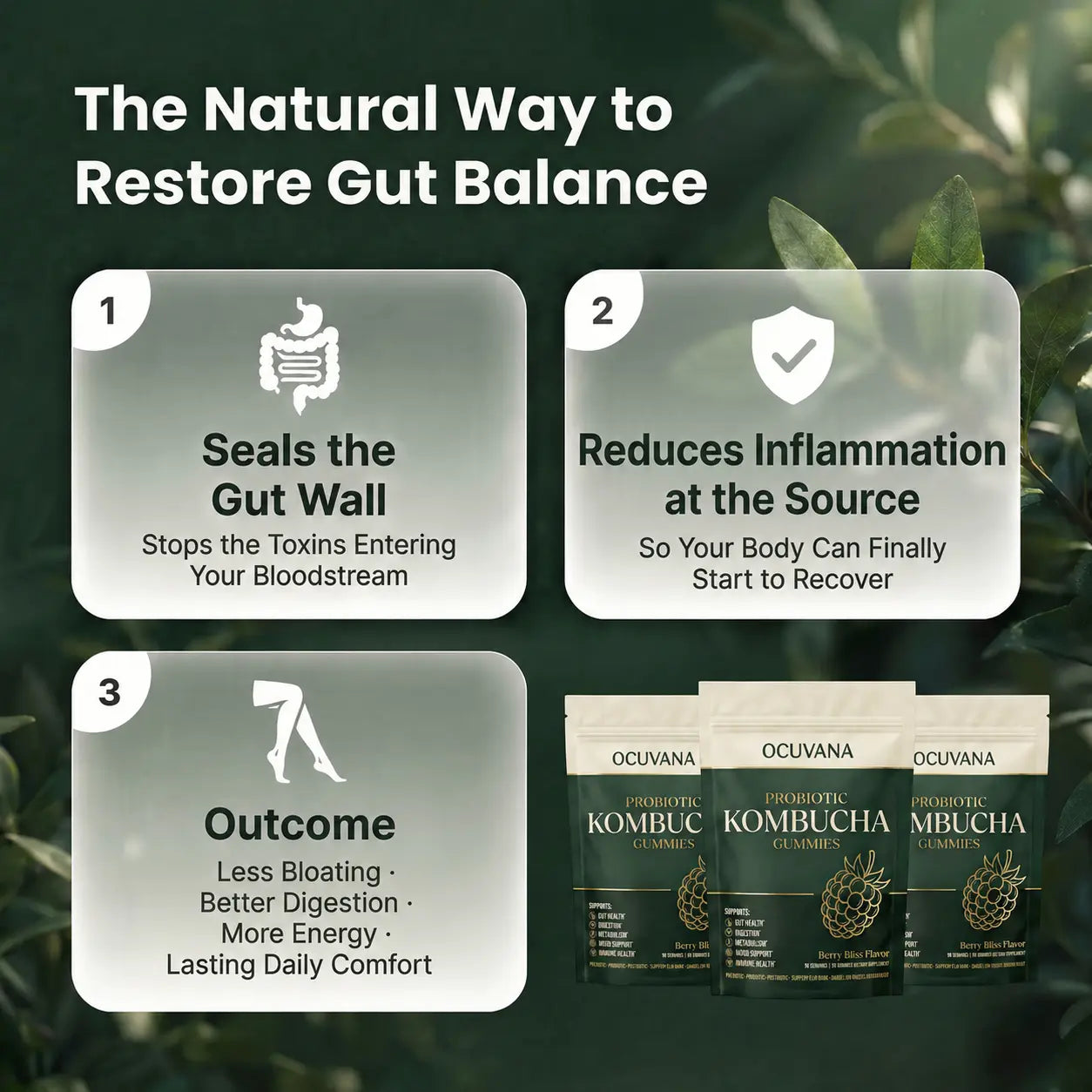 Kombucha Probiotic Gummies for Digestive Support