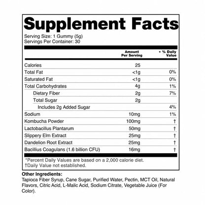 Kombucha Probiotic Gummies for Digestive Support