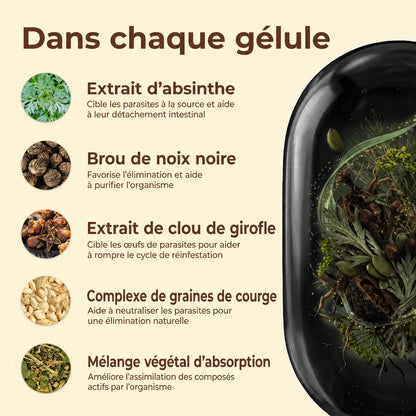 Débarrassez votre corps des parasites cachés et de leurs larves en seulement 14 jours grâce à l’absinthe, au noyer noir et au clou de girofle