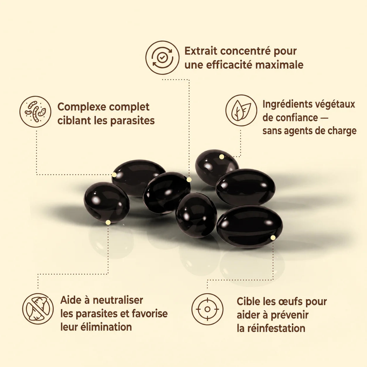 Débarrassez votre corps des parasites cachés et de leurs larves en seulement 14 jours grâce à l’absinthe, au noyer noir et au clou de girofle