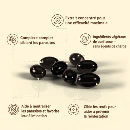 Débarrassez votre corps des parasites cachés et de leurs larves en seulement 14 jours grâce à l’absinthe, au noyer noir et au clou de girofle